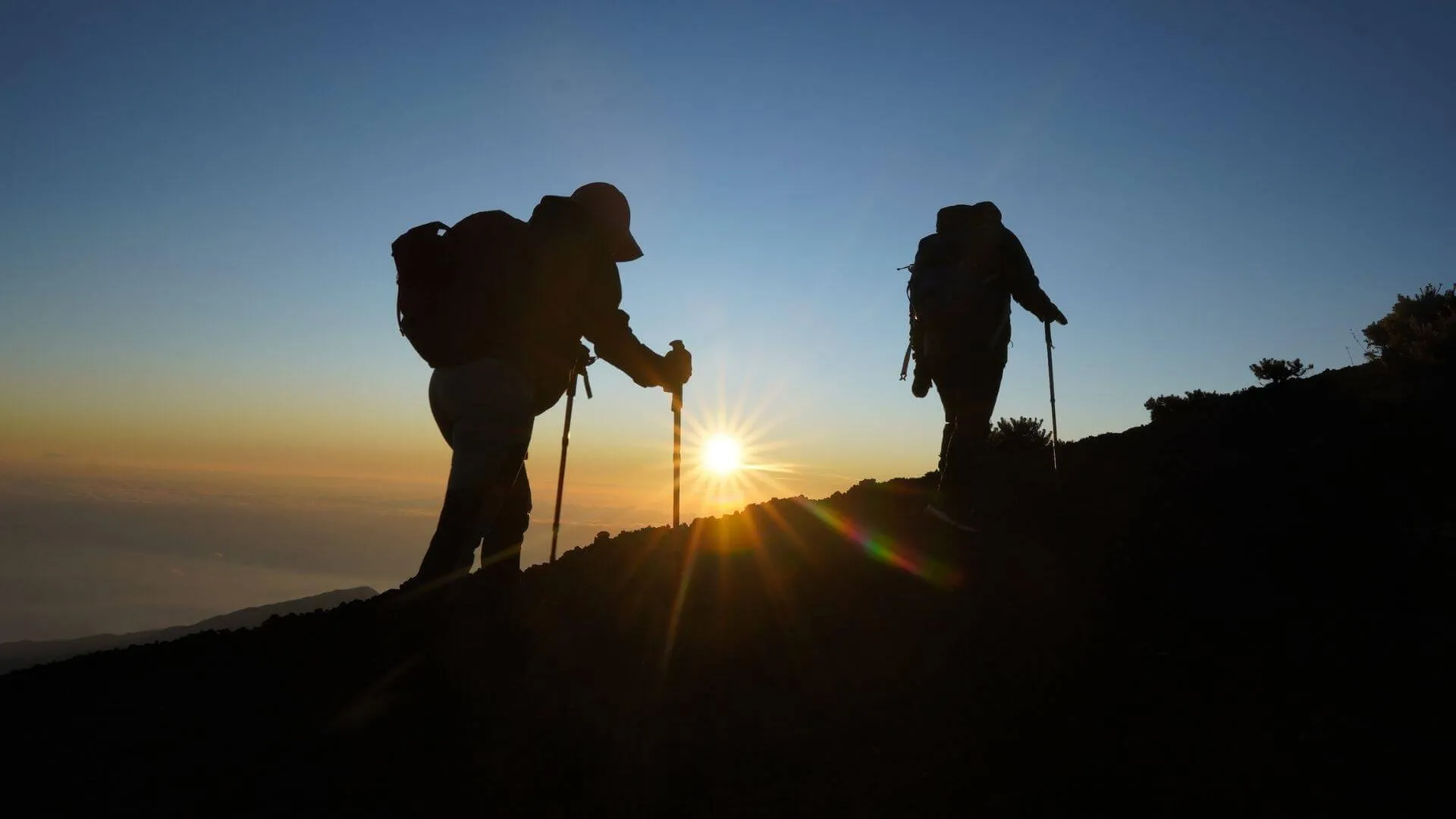 Cuplikan video Mountain & Jungle Course 2024