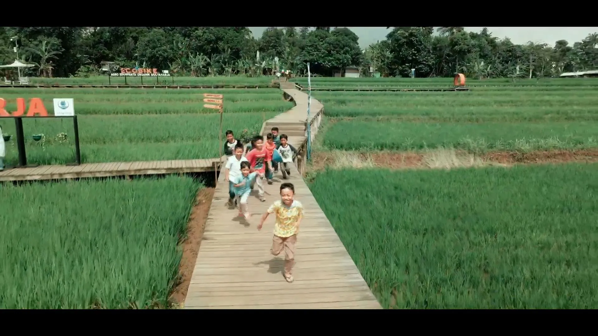 Dokumentasi competition oleh Tetra Visual — foto 4